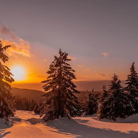 Tatil Evi Gorskie Chatki Krysi I Piotrka Perlowy *