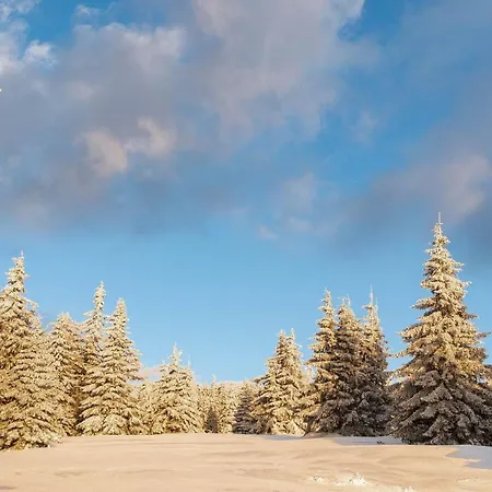 Gorskie Chatki Krysi I Piotrka Perlowy Vakantiehuis