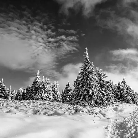 Gorskie Chatki Krysi I Piotrka Perlowy