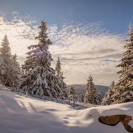 Gorskie Chatki Krysi I Piotrka Perlowy Casa vacanze Stronie Śląskie
