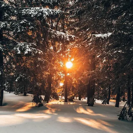 Gorskie Chatki Krysi I Piotrka Perlowy * Stronie Śląskie