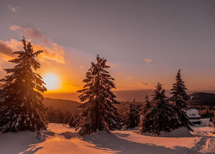Дом отдыха Gorskie Chatki Krysi I Piotrka Perlowy *