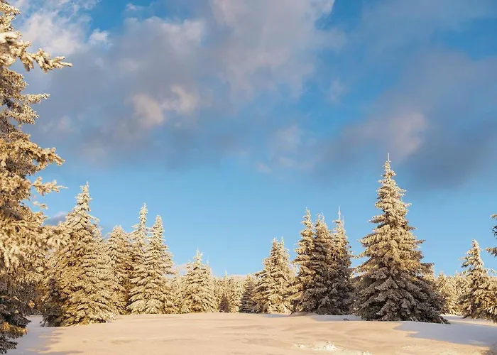 Gorskie Chatki Krysi I Piotrka Perlowy Дом отдыха