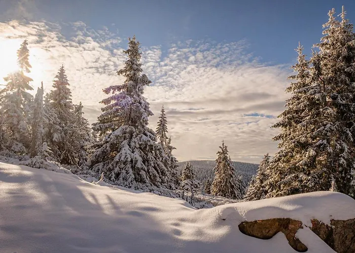Gorskie Chatki Krysi I Piotrka Perlowy Дом отдыха Строне-Слёнске