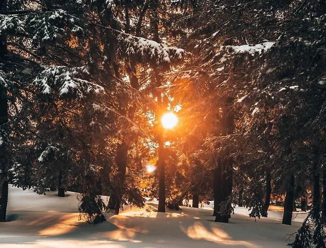 Gorskie Chatki Krysi I Piotrka Perlowy * Stronie Slaskie